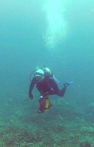 dan obrien diving palau with bentprop.org