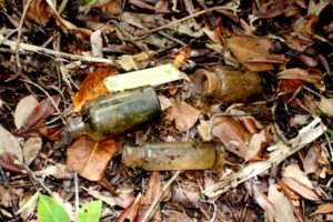 old medicinal bottles in the jungle of palau with bentprop.org
