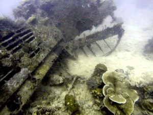 The Tail of a b24 bomber in palau found by bentprop.org