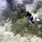 Mark right at the notch where the channel wall meets the sea floor. palau