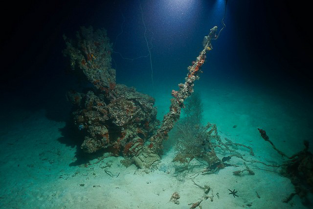 WWII MIA Avenger & Hellcat Crew Remains Recovered
