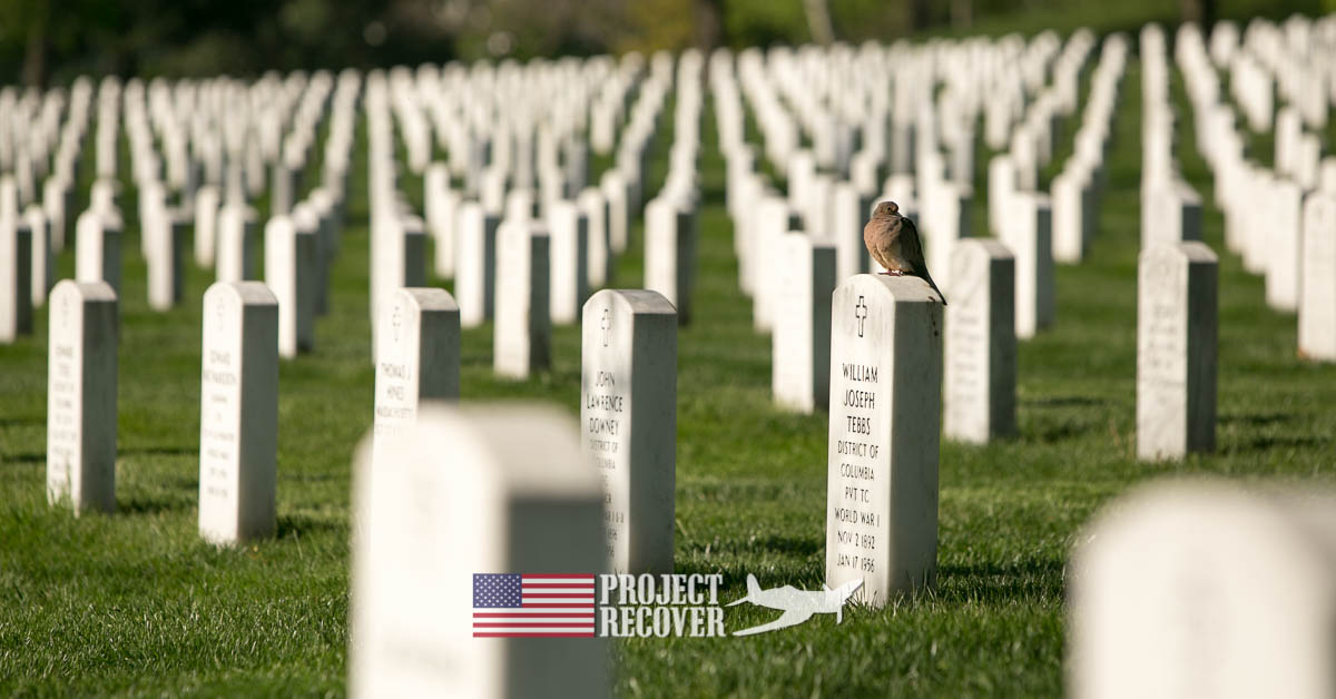 Arlington Cemetery with dove on gravestone - learn about MIA Research - Bentprop. Project recover. photo by harry parker photography