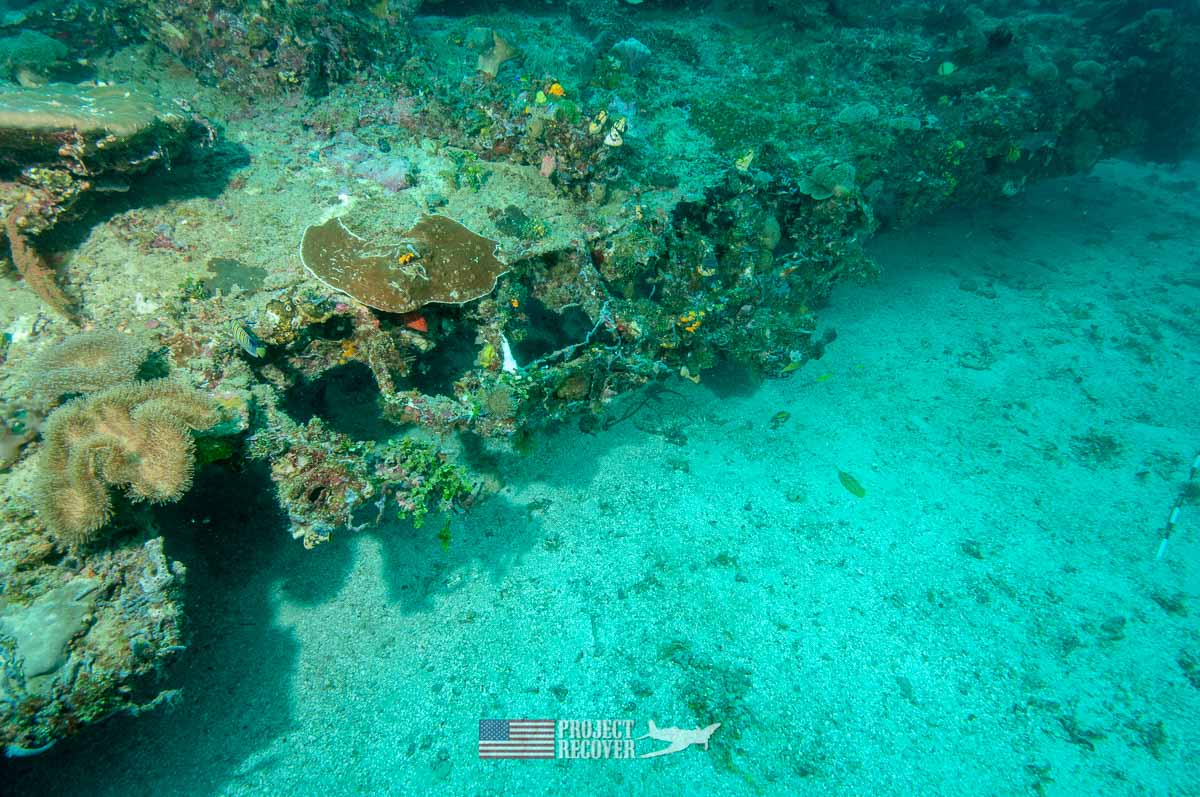 Flaps of a B24 WWII underwater wreck during Solomons MIA Search - Project Recover and BentProp Project are committed to bringing the MIA home. Photos by Ewan Stevenson WWW.ARCHAEHISTORIA.ORG
