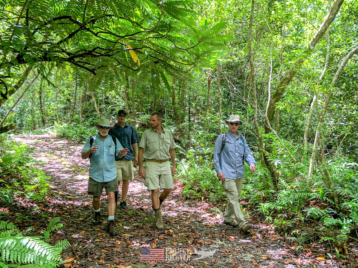 Jungle trail in Peleliu