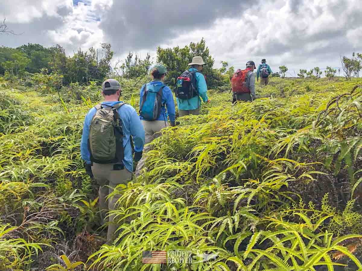 Adam and the Project Recover Team hike through the dreaded Ito fern in Palau. Photos by Harry Parker Photography