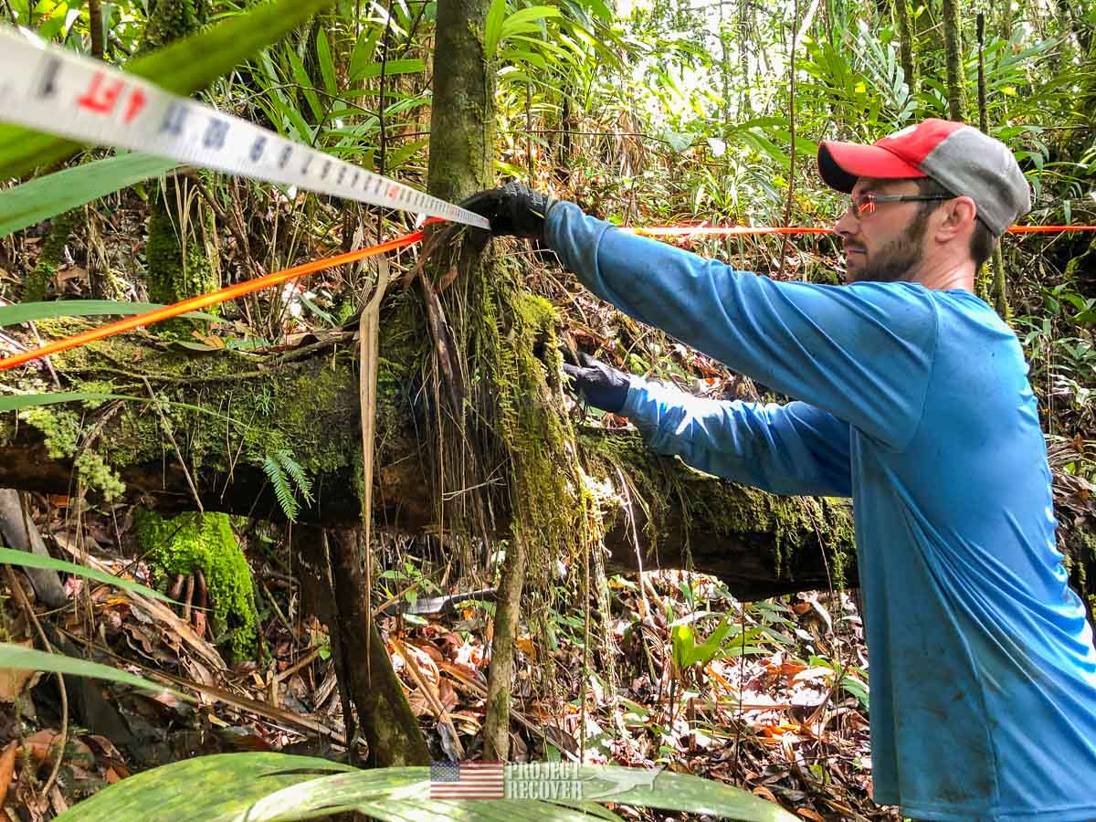 Adam helps measure the perimeter of an MIA dig in Palau. Photo: Harry Parker Photography