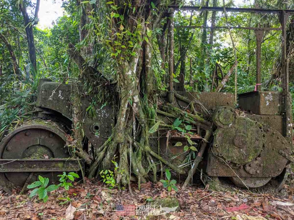 palau wwii military vehicle with ingrown tree